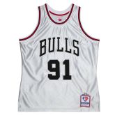 Mitchell & Ness NBA Chicago Bulls Dennis Rodman 75th Anniversary Platinum Collection Swingman Jersey - White - Jersey