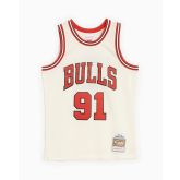 Mitchell & Ness NBA Chicago Bulls Dennis Rodman Off White Team Color Swingman Jersey - White - Jersey
